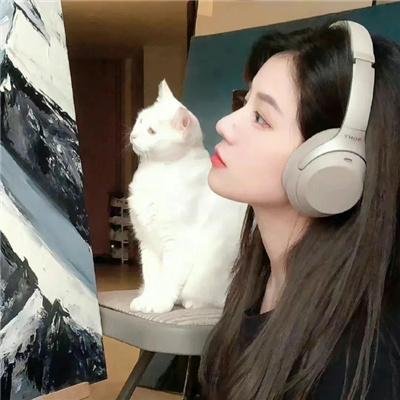 绑架猫王