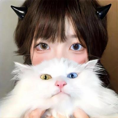野狐少年